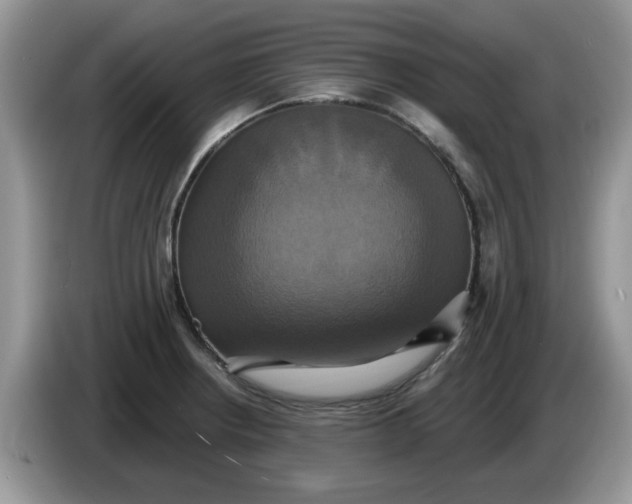 X0000086221234200704121851