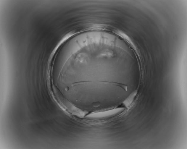 X0000086221235200704121851