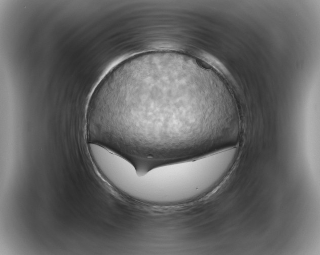 X0000086221236200704121851