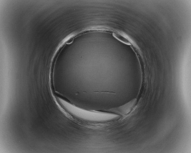 X0000086221237200704121851