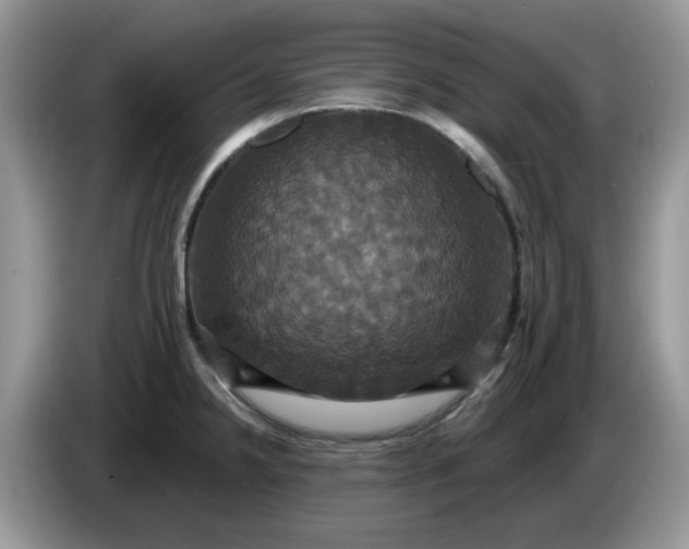 X0000086221238200704121851