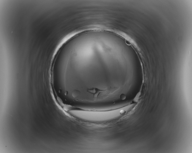 X0000086221239200704121851