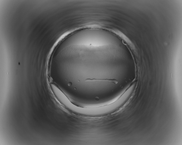 X0000086221240200704121851