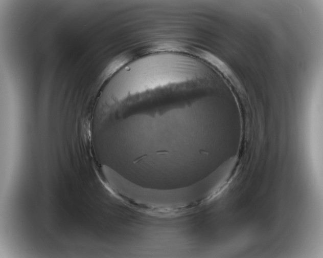 X0000086221241200704121851