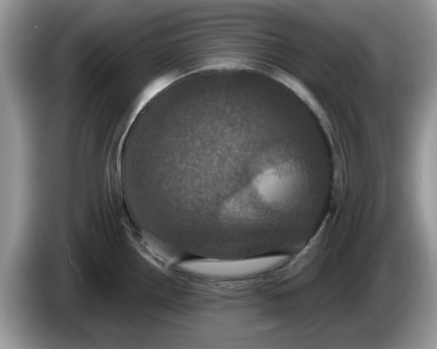 X0000086221242200704121851