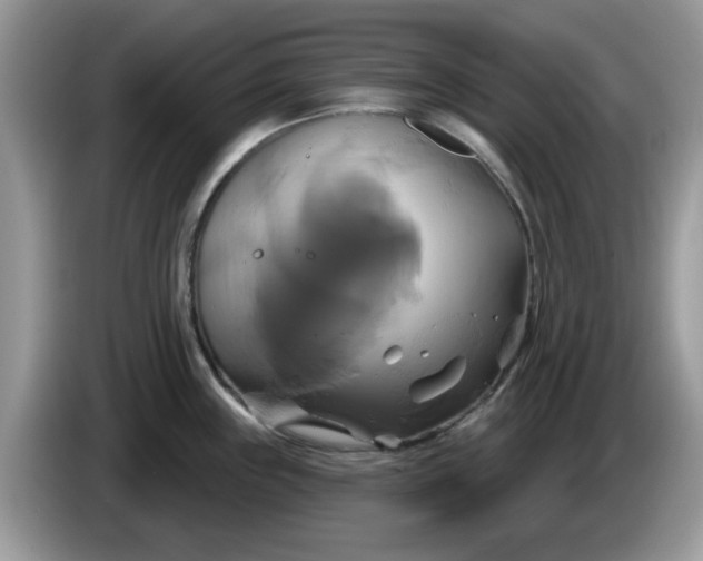 X0000086221243200704121851