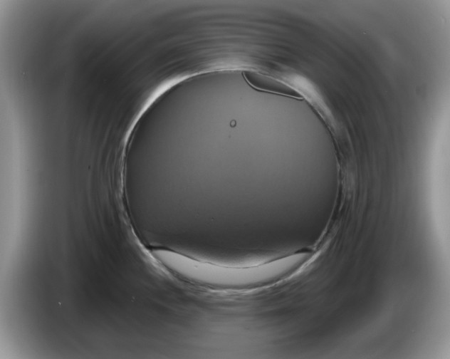 X0000086221244200704121851