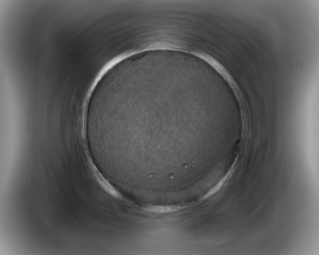 X0000086221246200704121851