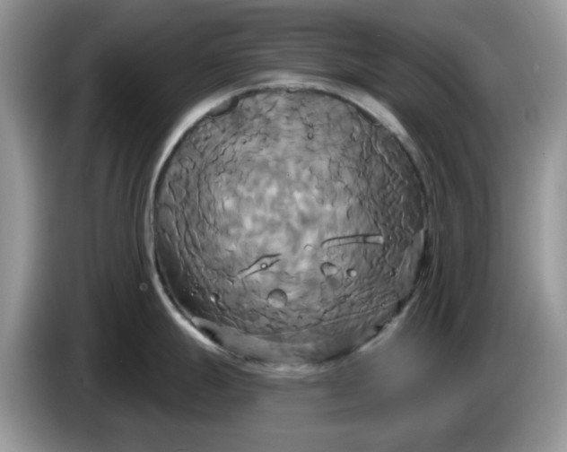 X0000086221247200704121851
