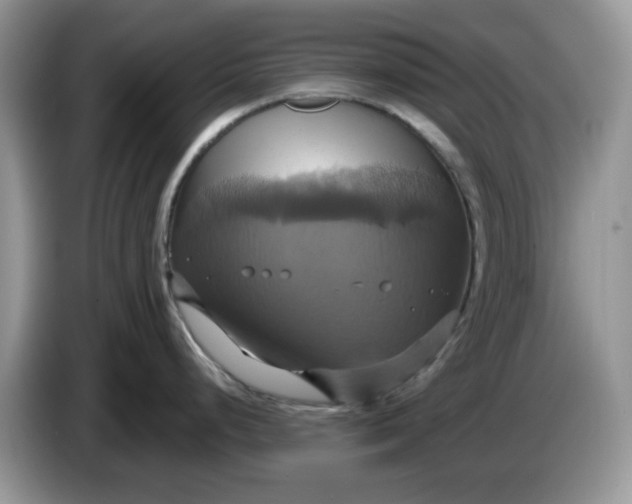 X0000086221248200704121851