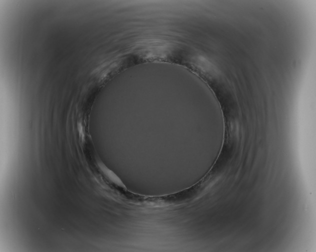 X0000086221250200704121851