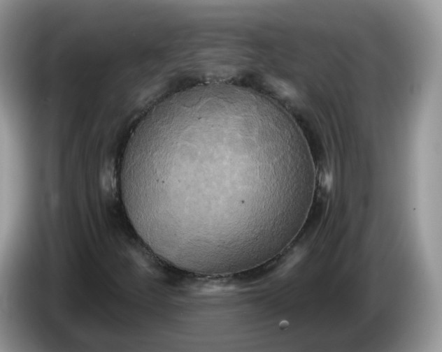 X0000086221252200704121851