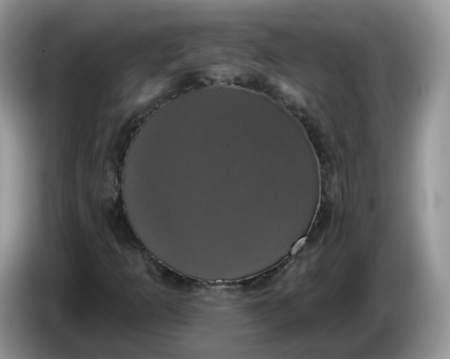 X0000086221253200704121851