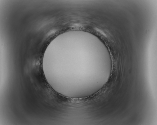 X0000086221254200704121851