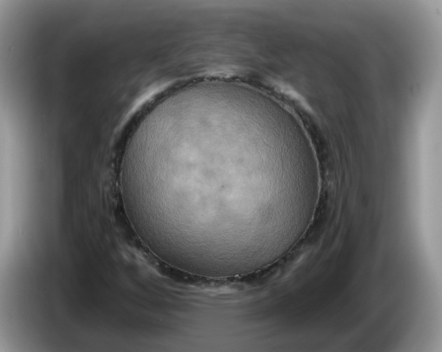 X0000086221256200704121851