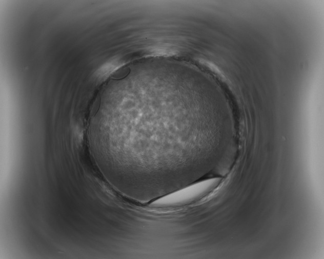 X0000086221257200704121851