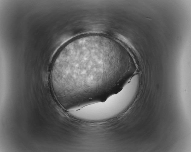 X0000086221260200704121851