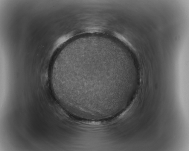 X0000086221261200704121851