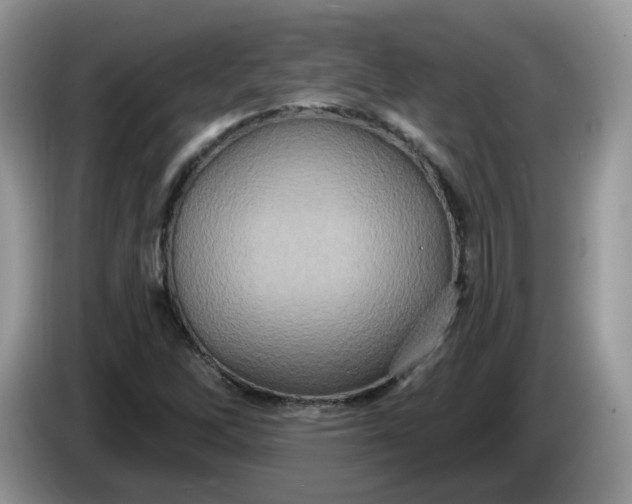 X0000086221262200704121851