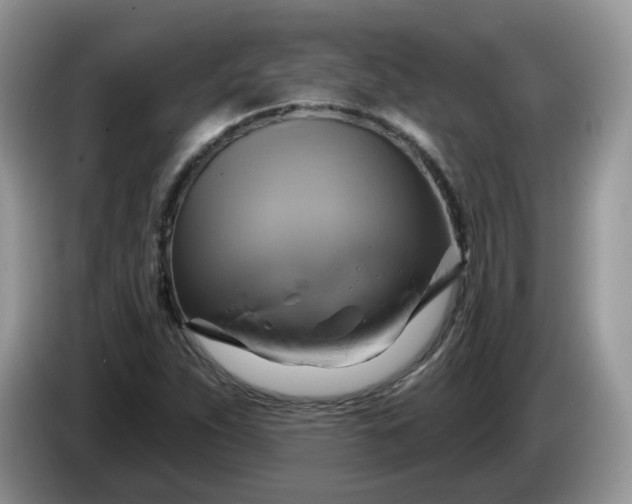 X0000086221263200704121851