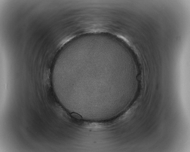 X0000086221265200704121850