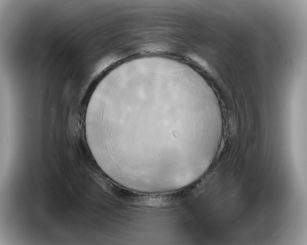 X0000086221266200704121850