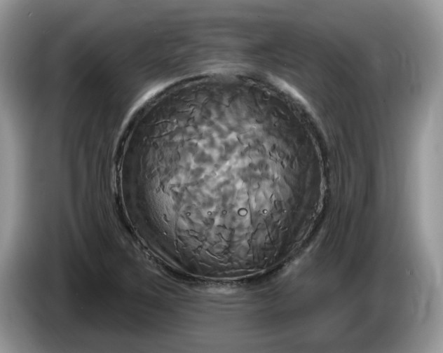 X0000086221267200704121850