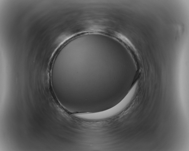 X0000086221268200704121850