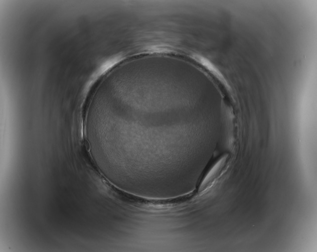 X0000086221269200704121850