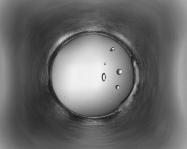 X0000086221270200704121850