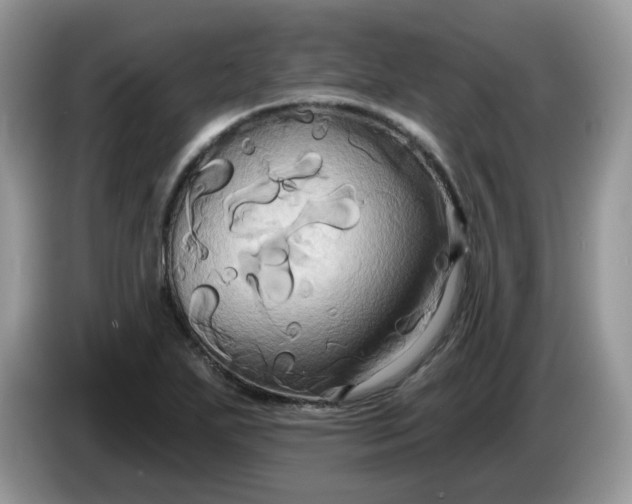 X0000086221271200704121850