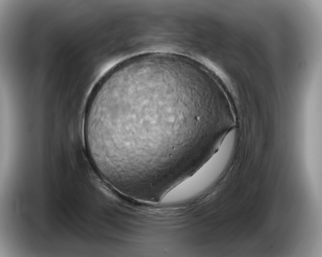 X0000086221272200704121850