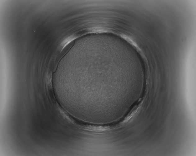 X0000086221273200704121850