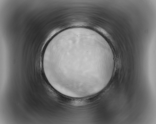 X0000086221274200704121850