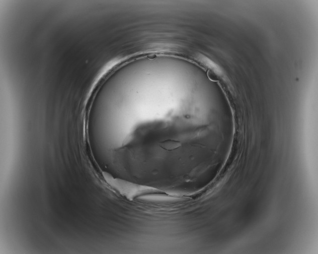 X0000086221275200704121850