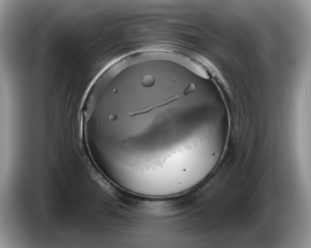 X0000086221276200704121850