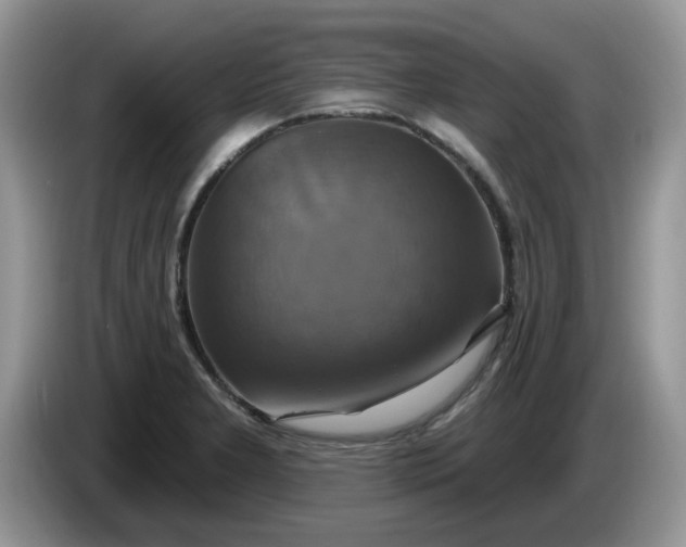 X0000086221277200704121850