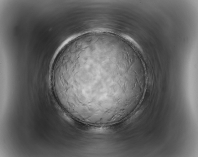 X0000086221278200704121850