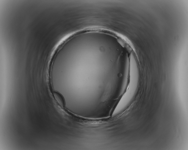 X0000086221279200704121850