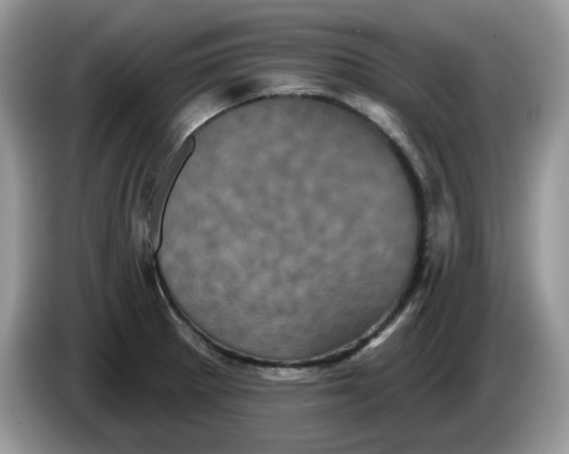 X0000086221281200704121850