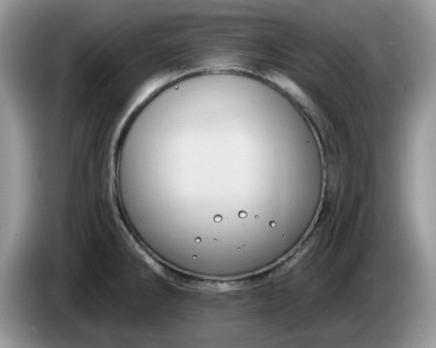 X0000086221286200704121850