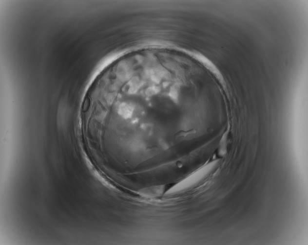 X0000086221287200704121850