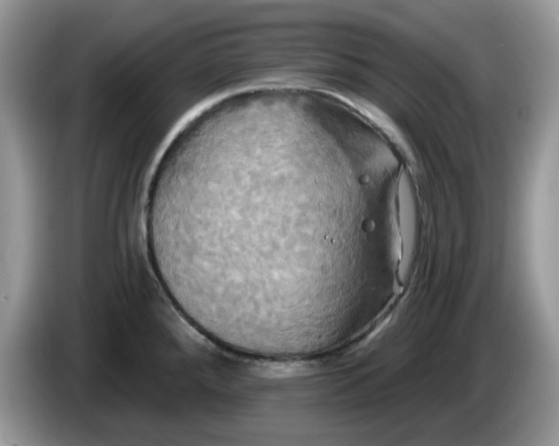 X0000086221288200704121850