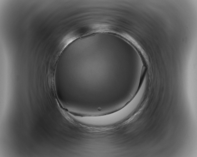 X0000086221289200704121850