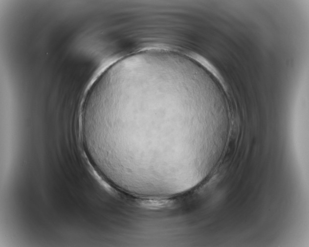 X0000086221290200704121850