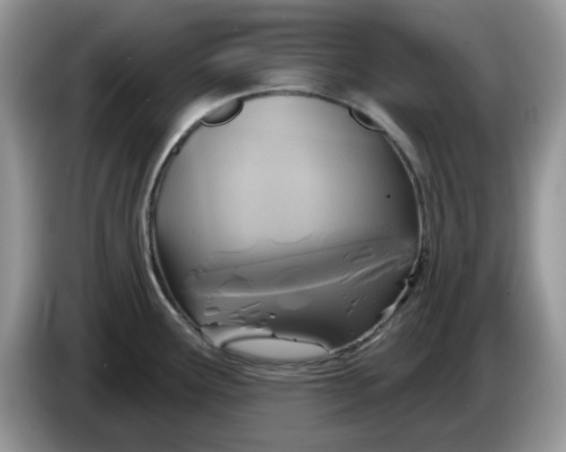 X0000086221291200704121850