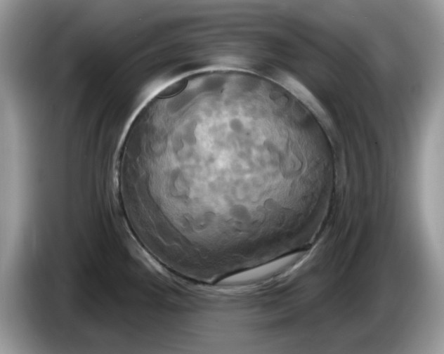 X0000086221292200704121850