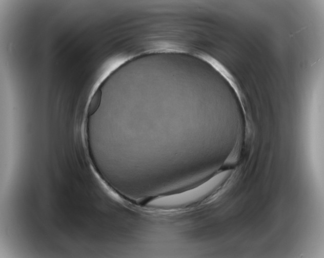 X0000086221293200704121850