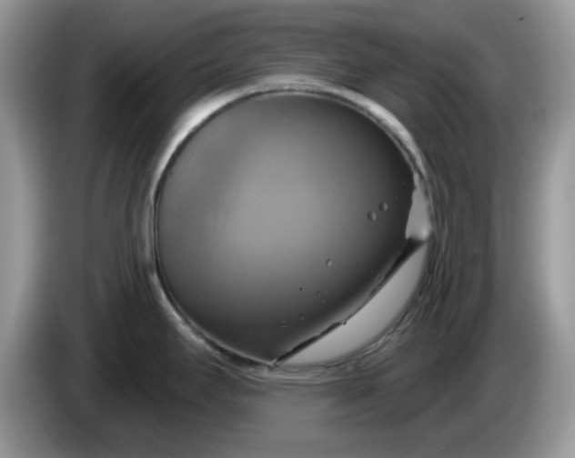 X0000086221295200704121850