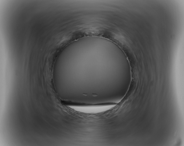 X0000086221297200704121850